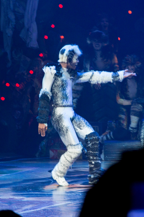 Photo Coverage: A Very Jellicle Opening Night- CATS Takes First Bows!  Image