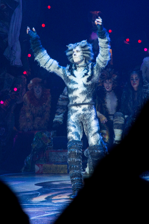 Photo Coverage: A Very Jellicle Opening Night- CATS Takes First Bows!  Image