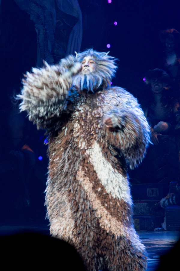 Photo Coverage: A Very Jellicle Opening Night- CATS Takes First Bows!  Image