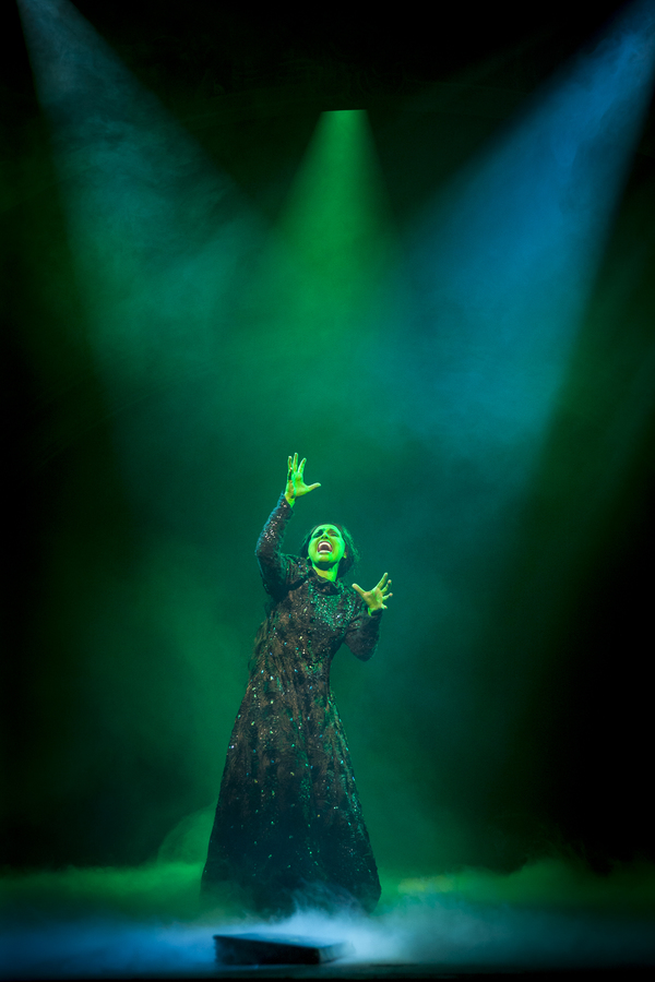 Photo Flash: First Look at Wayne Scott Kermond, Ashleigh O'Brien and More in the Australian Non-Professional Production of WICKED  Image