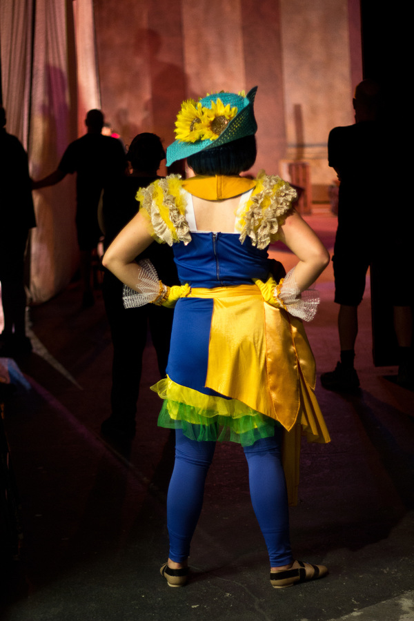 Photo Flash: Go Backstage with AIDA at The Muny Image