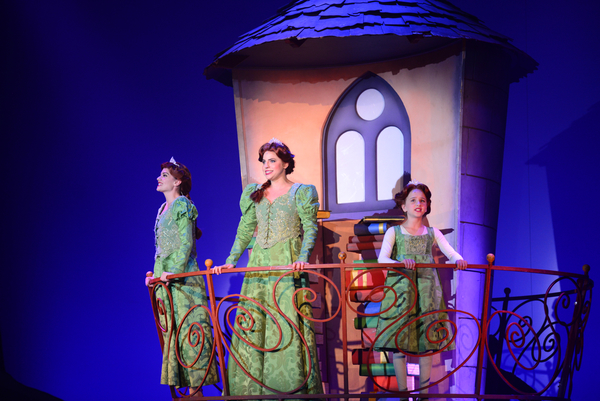 Photo Flash: First Look at SHREK THE MUSICAL at Atlanta Lyric Theatre Image