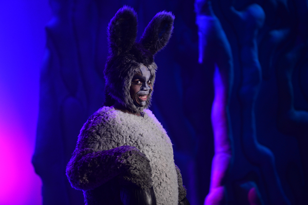 Photo Flash: First Look at SHREK THE MUSICAL at Atlanta Lyric Theatre Image