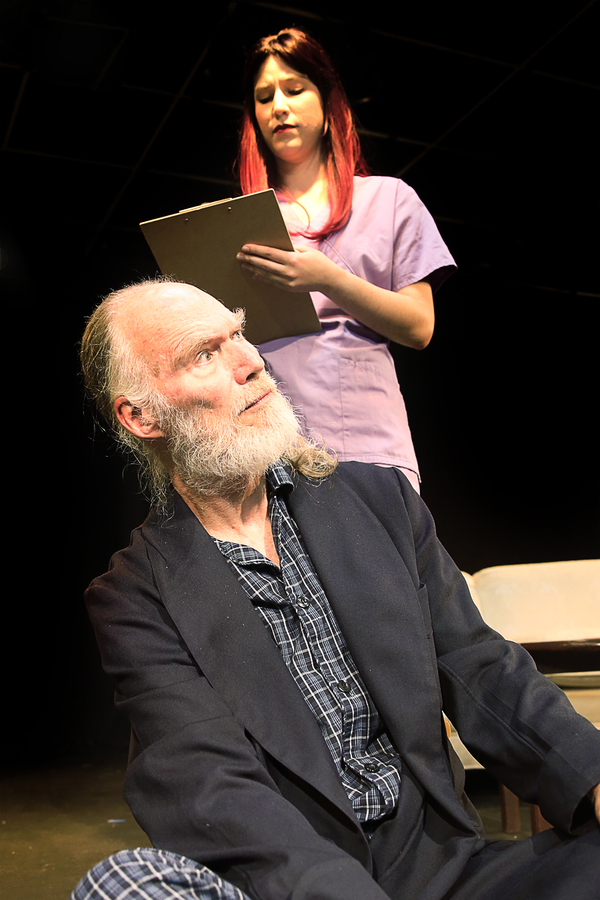 Photo Flash: First Look at SATURN RETURNS at Theatre Southwest Image