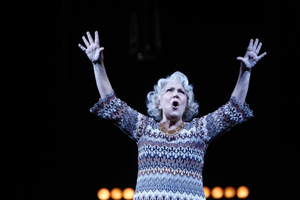 Photo Flash: First Look at Christiane Noll, Emily Skinner, Adam Heller, Bradley Dean and More in The Rep's FOLLIES Image