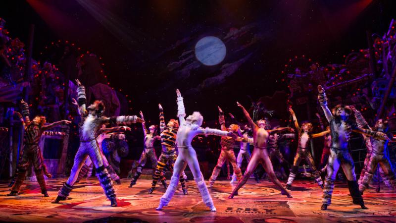 Interview: Corey John Snide of CATS on his journey from the Capital Region to Coricopat Image