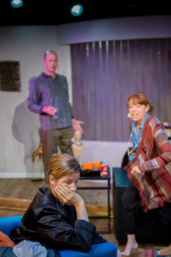 Photo Flash: First Look at GOD OF CARNAGE, Opening Tonight at Miners Alley Playhouse Image
