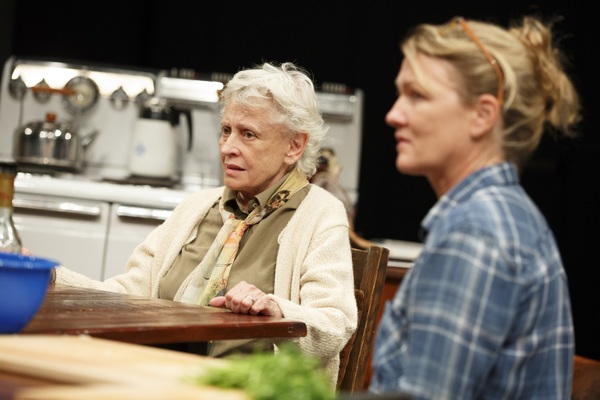 Photo Flash: First Look at THE GABRIELS: PLAY TWO - WHAT DID YOU EXPECT? at The Public Theater Image