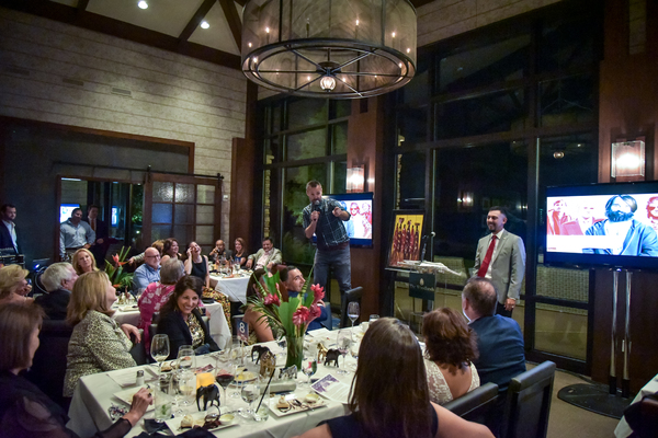 Photo Flash: Pangea's OUT OF AFRICA Raises Over $100,000 Image