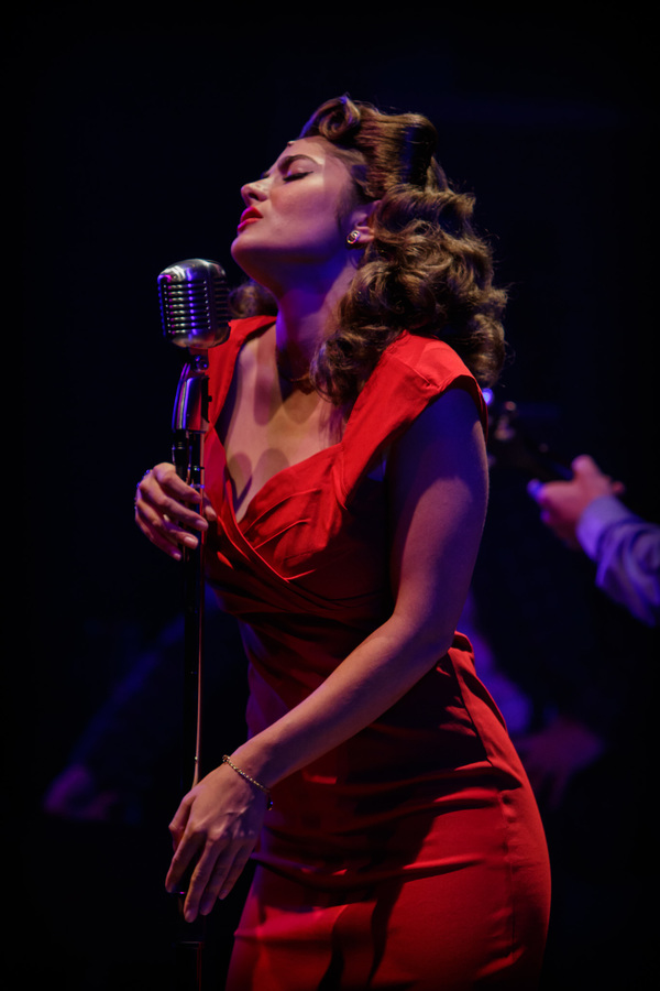 Photo Flash: First Look at MILLION DOLLAR QUARTET, Opening Tonight at Finger Lakes Image