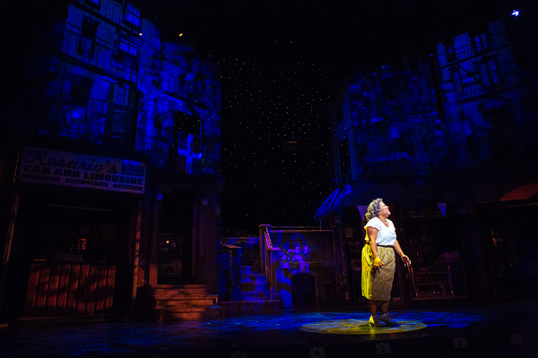 Photo Flash: First Look at Anthony Lee Medina and More in Starry IN THE HEIGHTS at TUTS 
