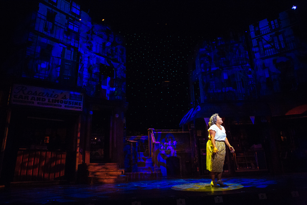 Photo Flash: First Look at Anthony Lee Medina and More in Starry IN THE HEIGHTS at TUTS Image