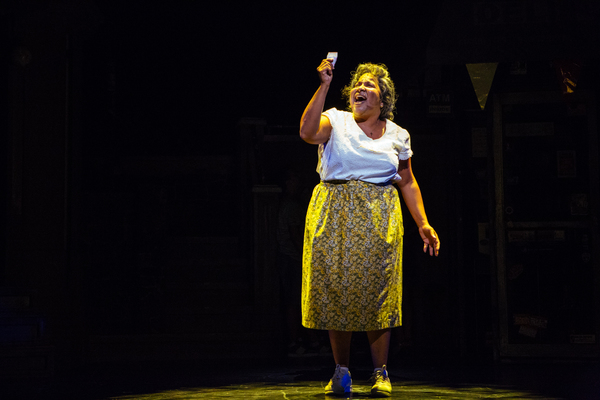 Photo Flash: First Look at Anthony Lee Medina and More in Starry IN THE HEIGHTS at TUTS Image