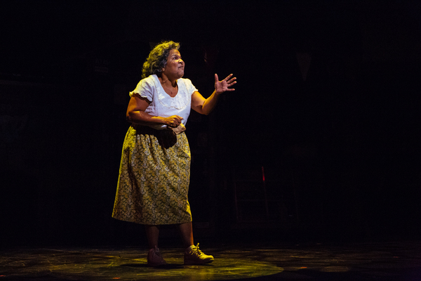 Photo Flash: First Look at Anthony Lee Medina and More in Starry IN THE HEIGHTS at TUTS Image