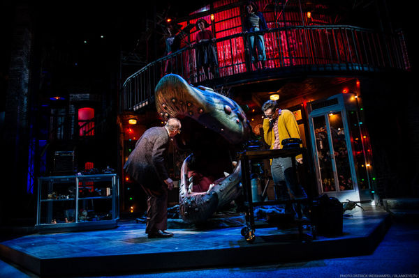 Photo Flash: Complete Look at LITTLE SHOP OF HORRORS at Portland Center Stage - Nick Cearley, Gina Milo, Jamison Stern and More! Image