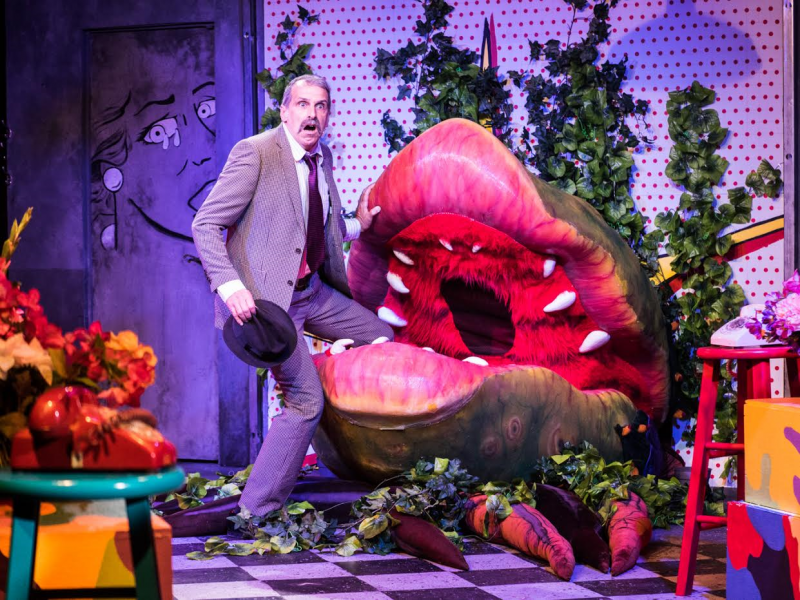 Review: LITTLE SHOP OF HORRORS at Playhouse On Park Image