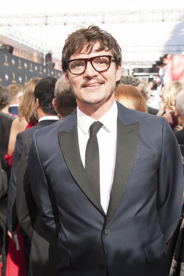 Photo Flash: 68th Annual Emmy Award Red Carpet Photo Coverage Image