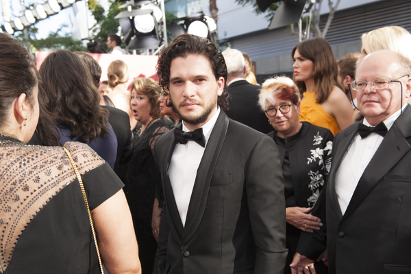 Photo Flash: 68th Annual Emmy Award Red Carpet Photo Coverage Image