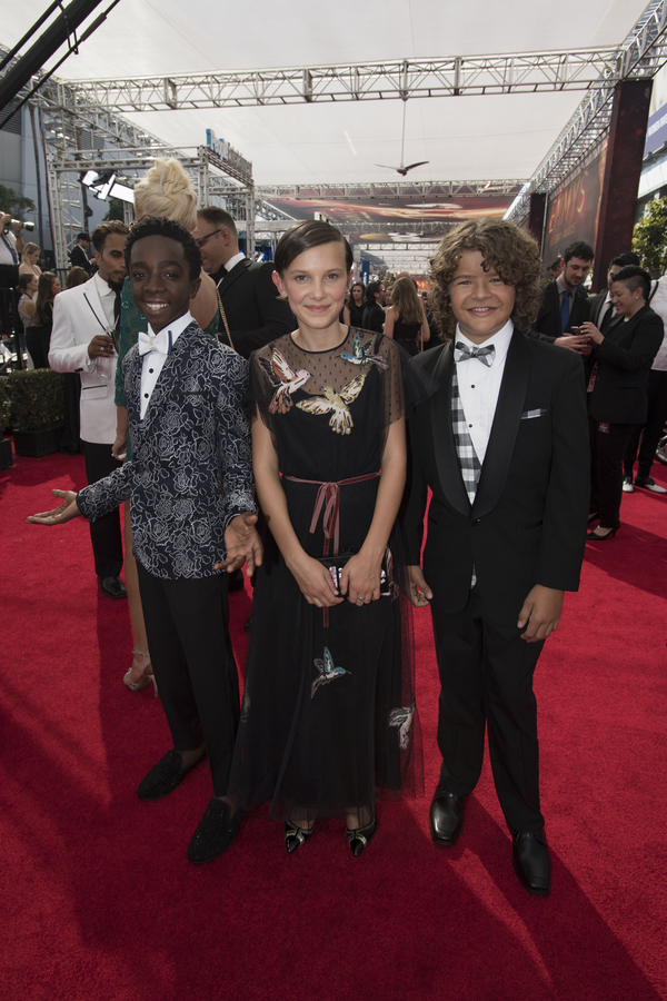 Photo Flash: 68th Annual Emmy Award Red Carpet Photo Coverage Image