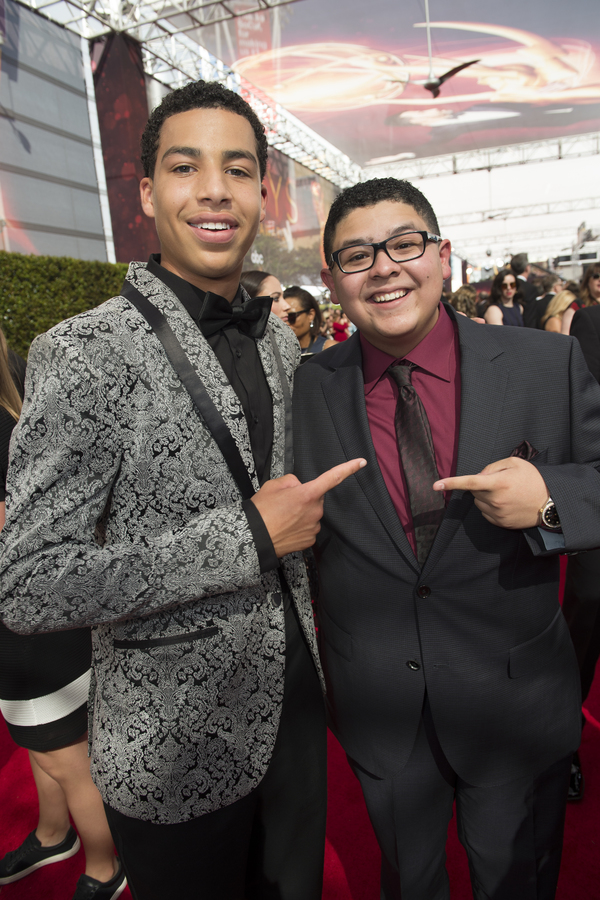Photo Flash: 68th Annual Emmy Award Red Carpet Photo Coverage Image