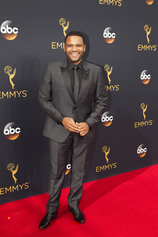 Photo Flash: 68th Annual Emmy Award Red Carpet Photo Coverage Image