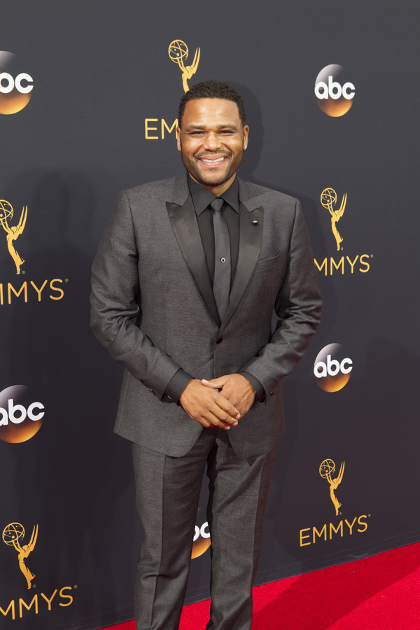 Photo Flash: 68th Annual Emmy Award Red Carpet Photo Coverage Image