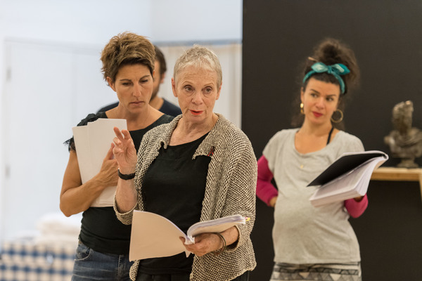 Photo Flash: In Rehearsal with Tamsin Greig and More for 'THE INTELLIGENT HOMOSEXUAL'S GUIDE...' at Hampstead Image