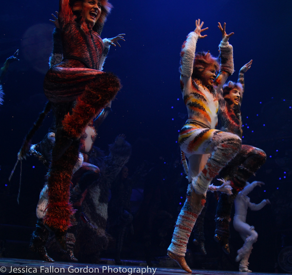 Photo Coverage: Grumpy Cat Pounces Onto Broadway! Image