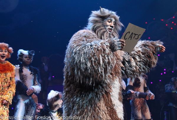 Photo Coverage: Grumpy Cat Pounces Onto Broadway! Image