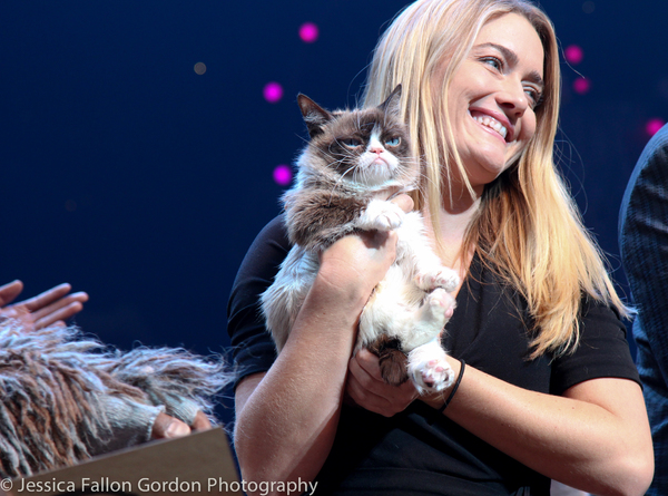 Photo Coverage: Grumpy Cat Pounces Onto Broadway! Image