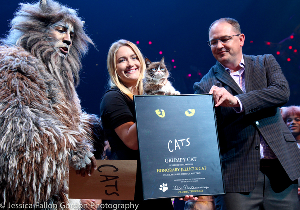 Photo Coverage: Grumpy Cat Pounces Onto Broadway! Image