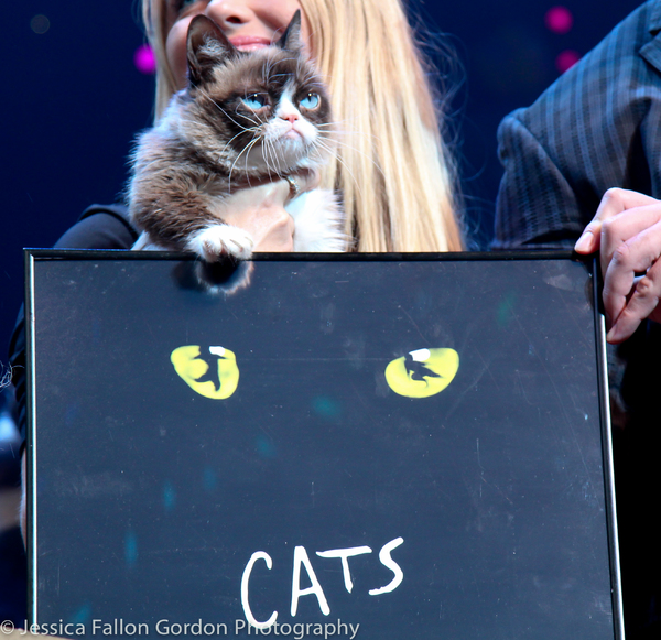 Photo Coverage: Grumpy Cat Pounces Onto Broadway! Image
