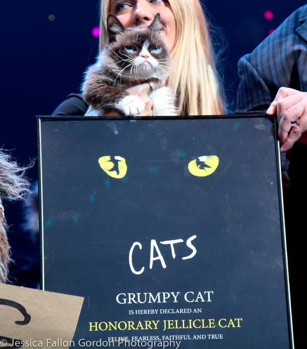 Photo Coverage: Grumpy Cat Pounces Onto Broadway! Image