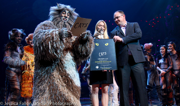 Photo Coverage: Grumpy Cat Pounces Onto Broadway! Image