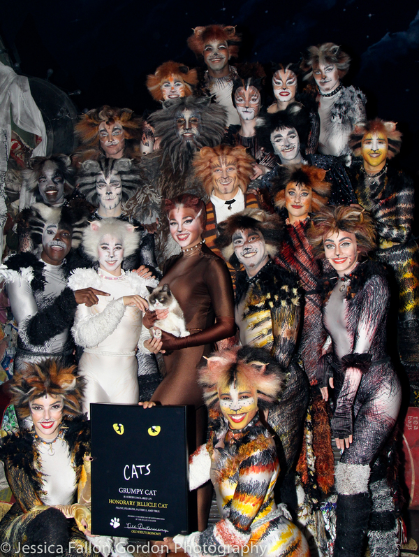 Photo Coverage: Grumpy Cat Pounces Onto Broadway! Image