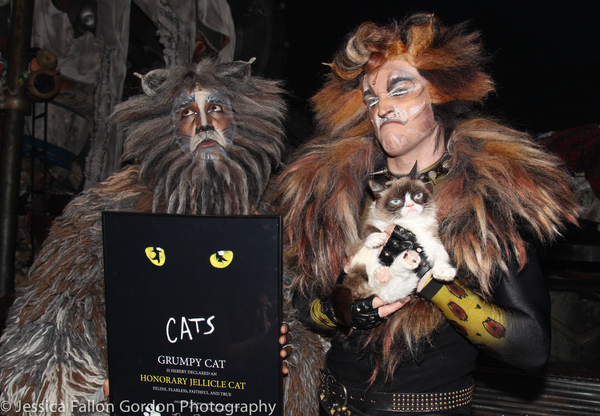 Photo Coverage: Grumpy Cat Pounces Onto Broadway! Image