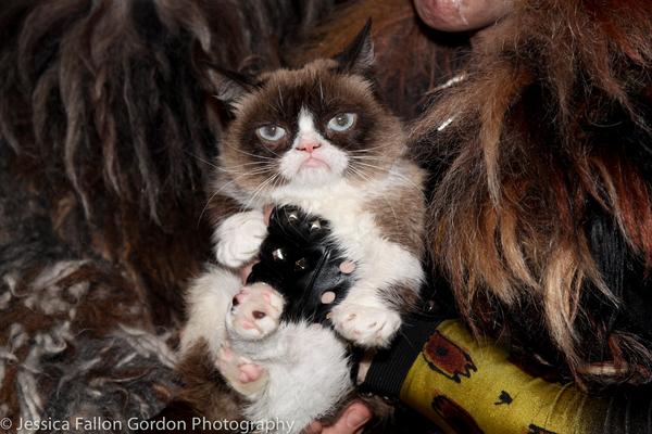 Photo Coverage: Grumpy Cat Pounces Onto Broadway! Image