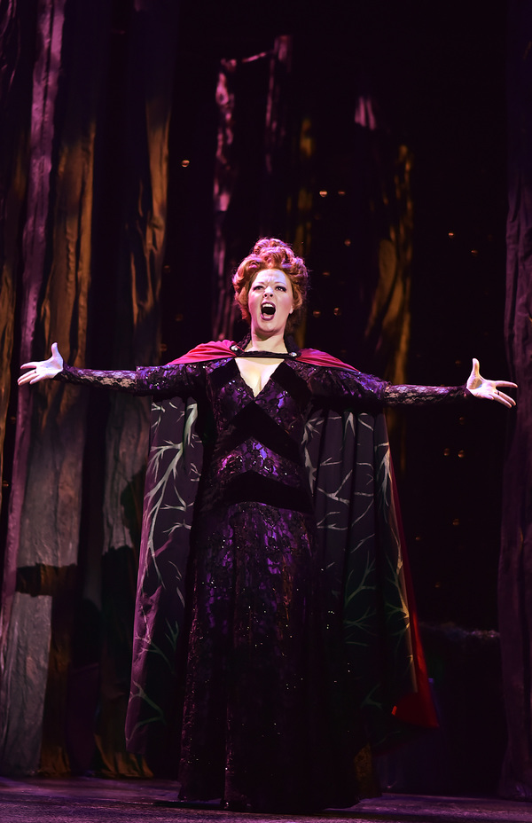 Photo Flash: INTO THE WOODS at Beef and Boards Image