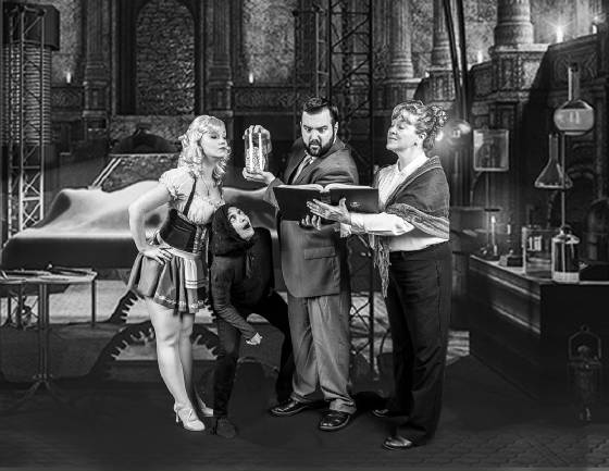 BWW Previews YOUNG FRANKENSTEIN at The Two Of Us Productions Image
