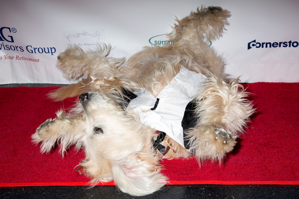 Photo Coverage: Broadway Unites to Sniff Out Cancer at Joe's Pub! 