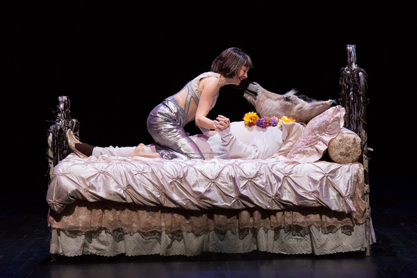 Photo Flash: First Look at Alley Theatre's A MIDSUMMER NIGHT'S DREAM Image