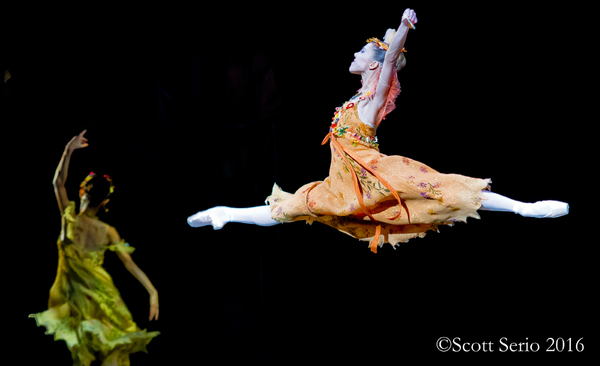 BWW Preview: CINDERELLA at Academy Of Music Image