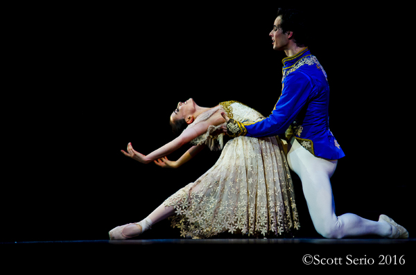 BWW Preview: CINDERELLA at Academy Of Music Image