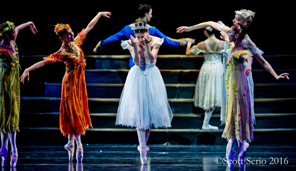 BWW Preview: CINDERELLA at Academy Of Music Image