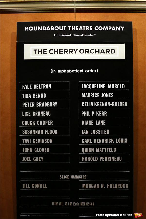Photo Coverage: THE CHERRY ORCHARD Company Takes Opening Night Bows! Image