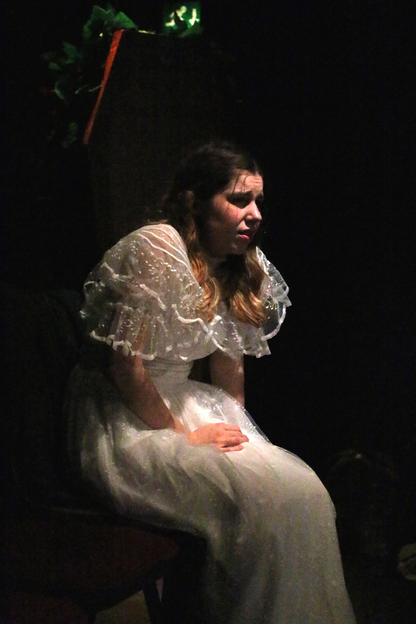 Photo Flash: First Look! THE HOUSE OF USHER at The Hope Theatre Image