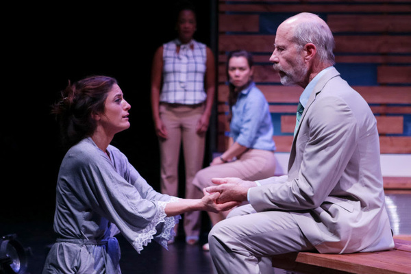 Photo Flash: Seattle Shakespeare Company Presents MEDEA Image