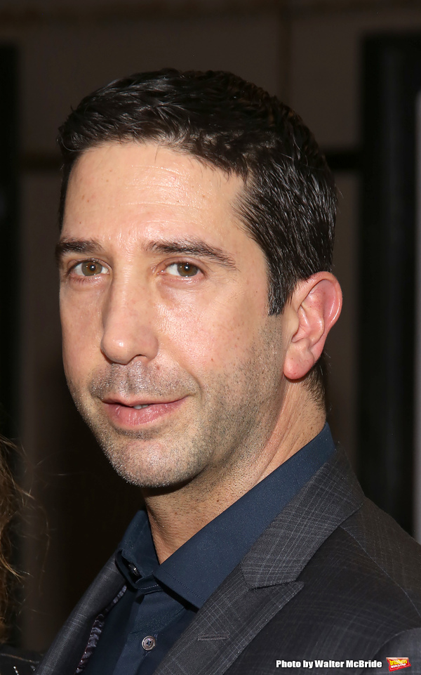 David Schwimmer  Photo