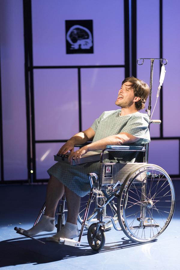 Photo Flash: First Look at A NEW BRAIN at Theatre Horizon 