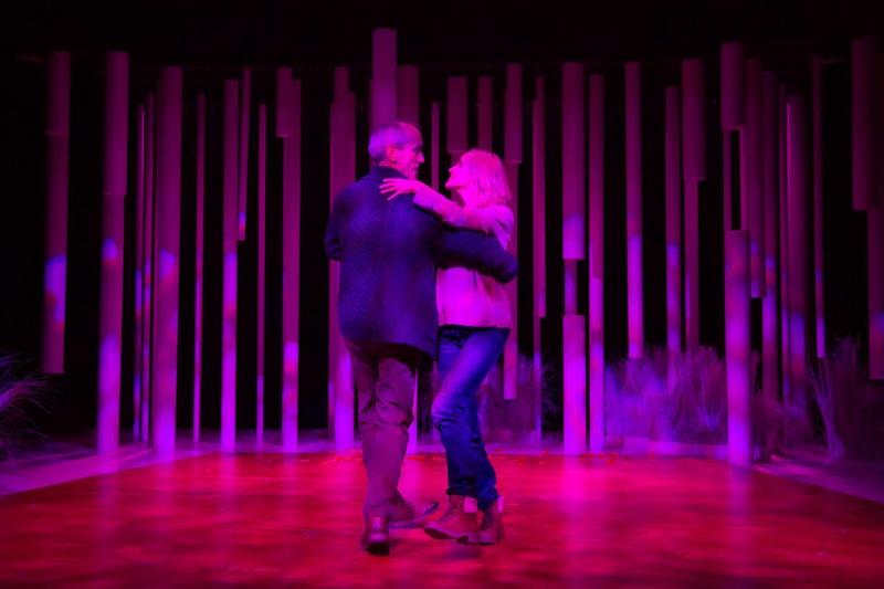 Review: YOU WILL REMEMBER ME at Hudson Stage Company Image